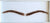 Nicole Hair Brow Lace Eyebrows - 1 pair